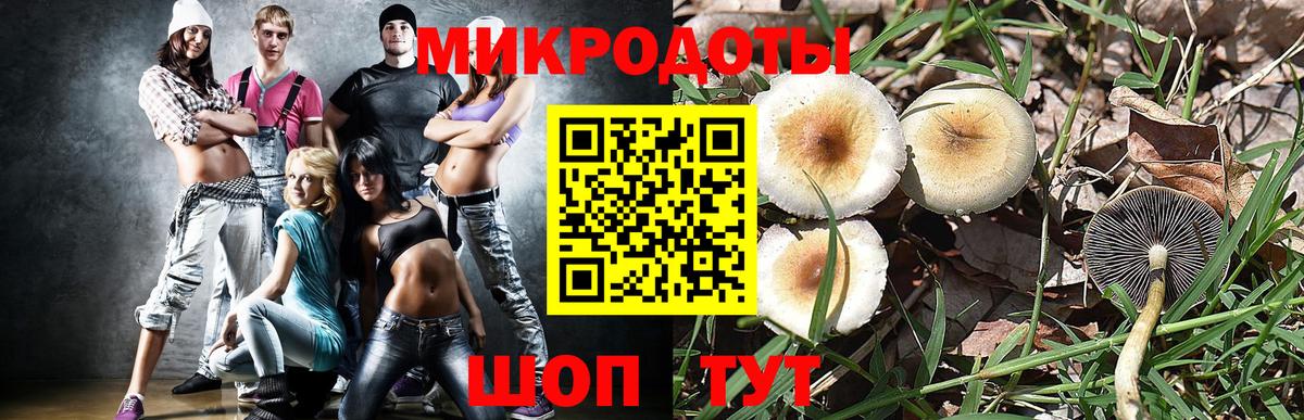 Псилоцибиновые грибы прущие грибы  Вход с VPN  Карачаевск 